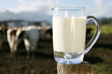 Discover the Richness of Pure Milk: A Culinary Essential